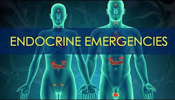 Endocrine Emergencies - طب حالات حرجة